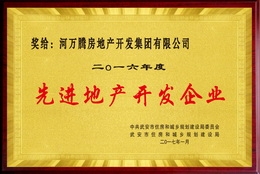 先進房地產(chǎn)開發(fā)企業(yè).jpg